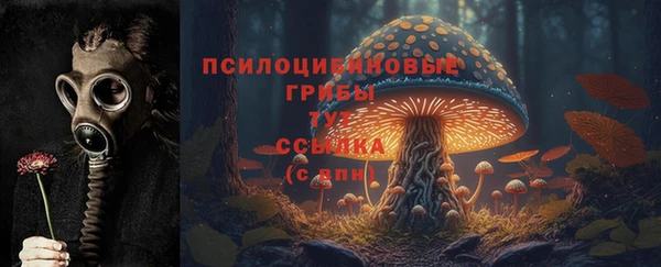 PSILOCYBIN Верхнеуральск